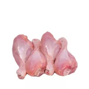 Chicken & Poultry