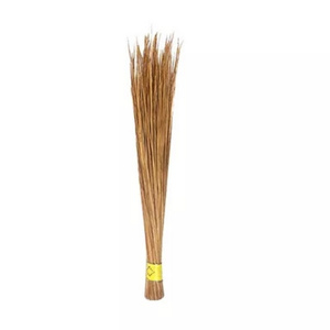 Big Broom (Shola)