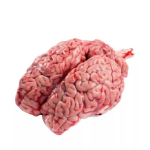 Beef Brain (Mogoz) (1 pc)