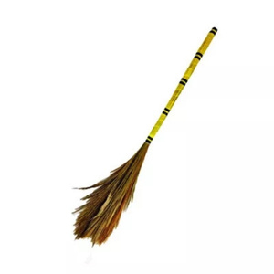 Flower Broom (Ful Jharu)