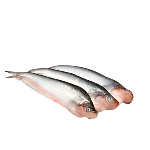 Pabda Fish (500 gm)