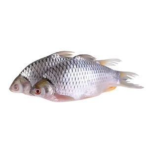 Deshi Sarputi Fish (500 gm)