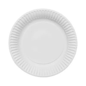 One Time Plastic Plate